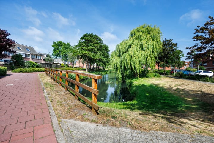 Foto 3 van Castor 40