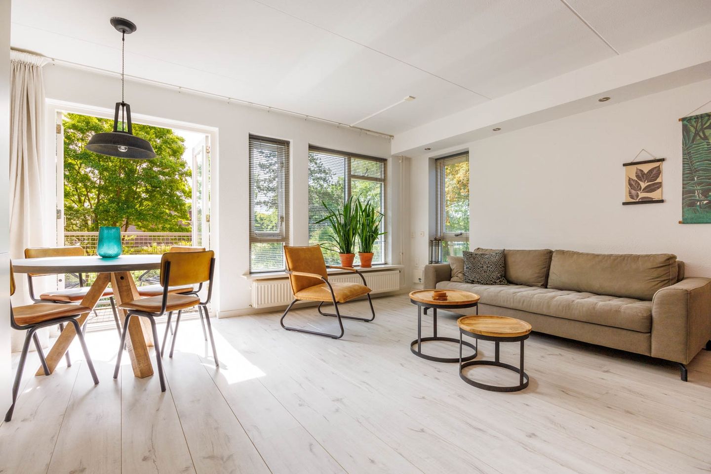 Photo 5 of Castor 40