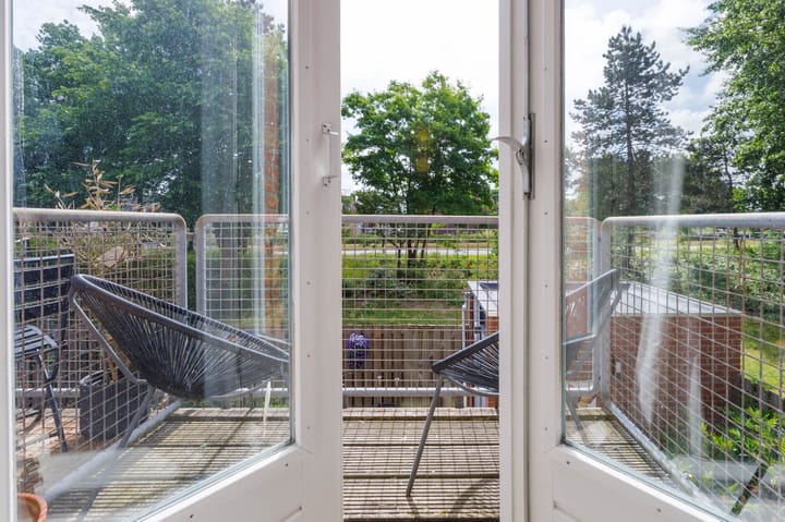 Photo 14 of Castor 40