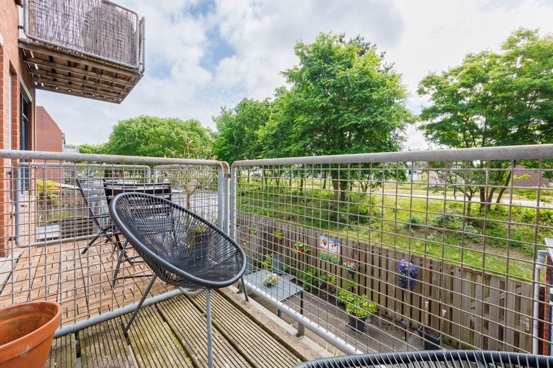 Photo 16 of Castor 40