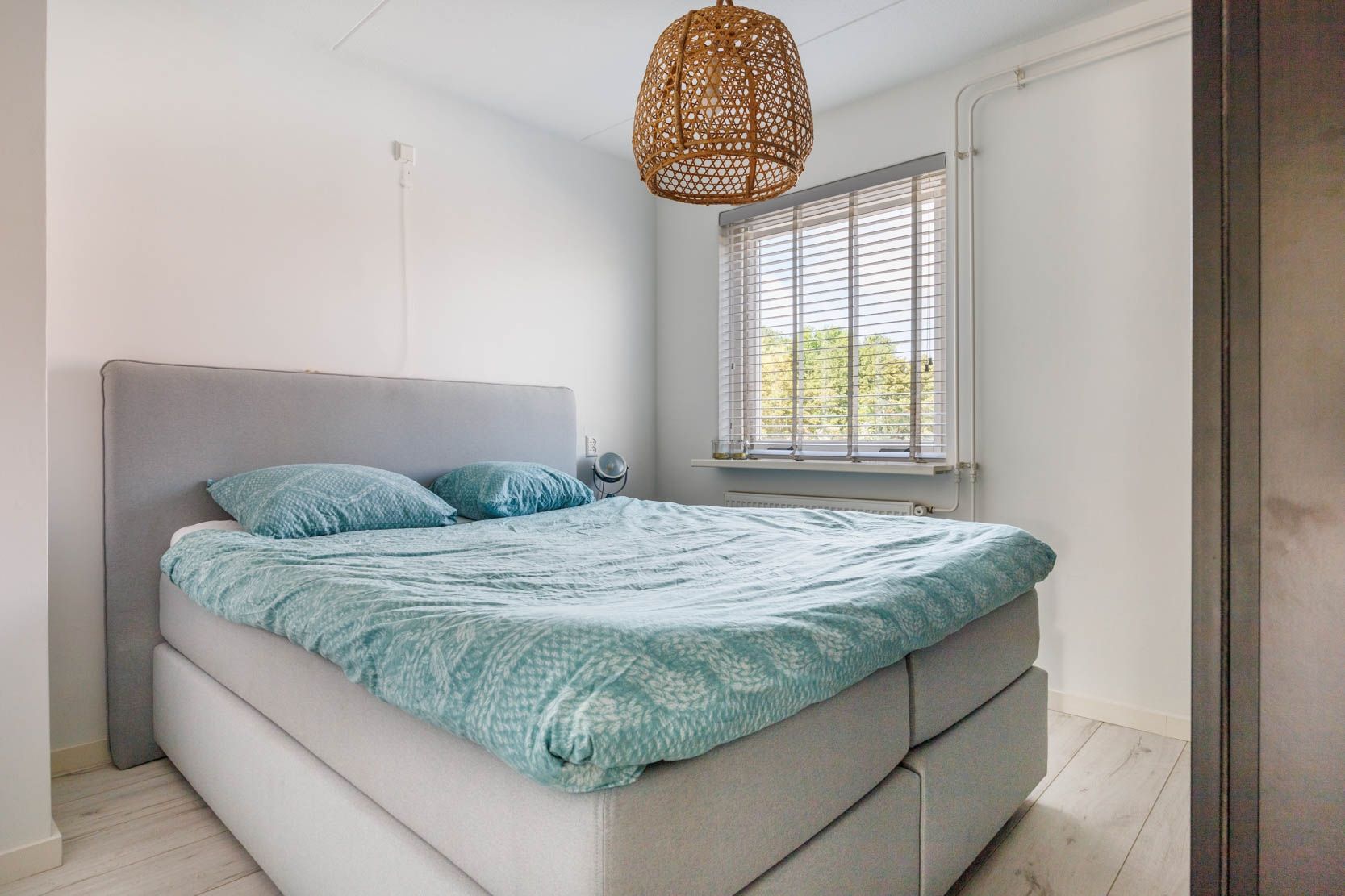 Photo 21 of Castor 40