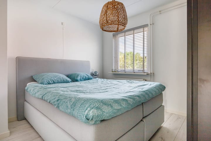 Photo 21 of Castor 40