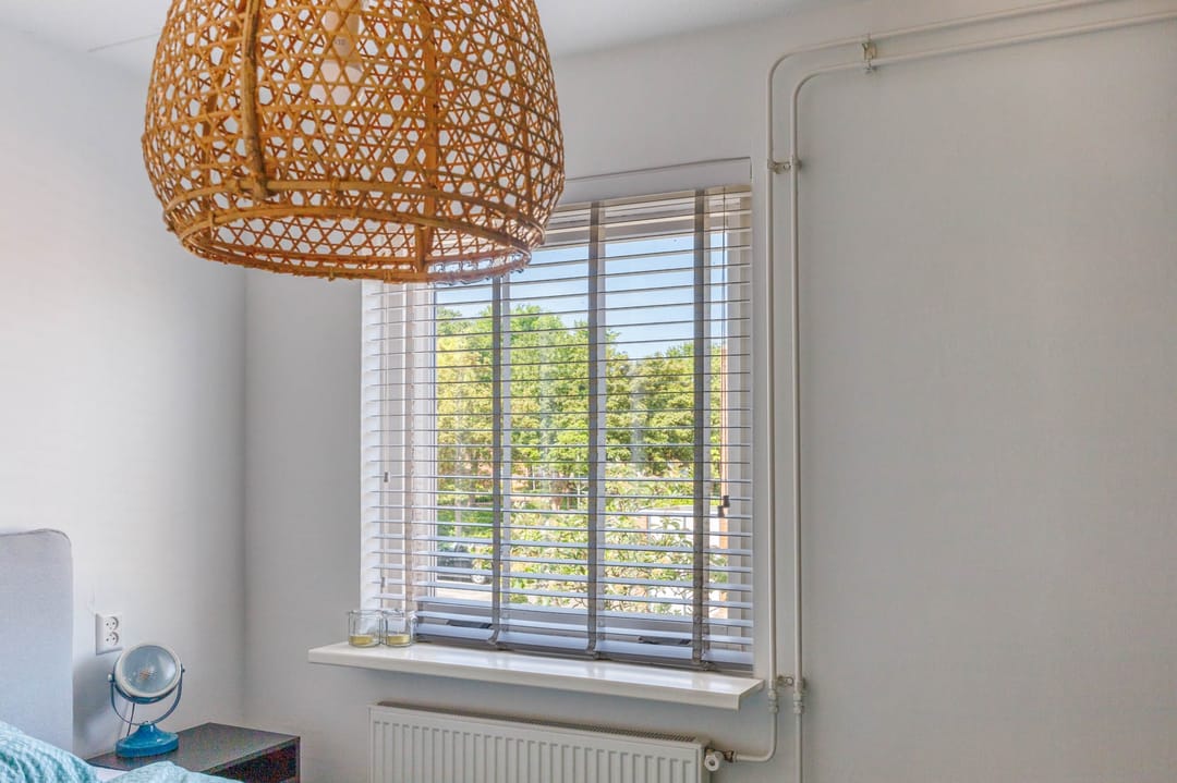 Photo 22 of Castor 40