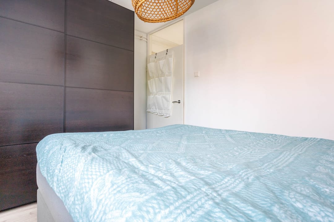 Photo 23 of Castor 40