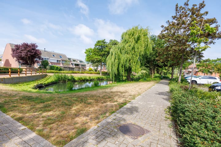 Photo 30 of Castor 40