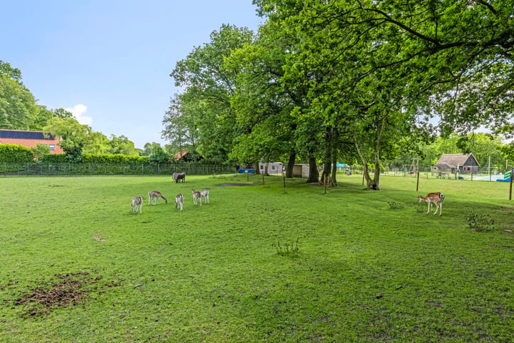 Foto 54 van Jan Fabriciuslaan 2