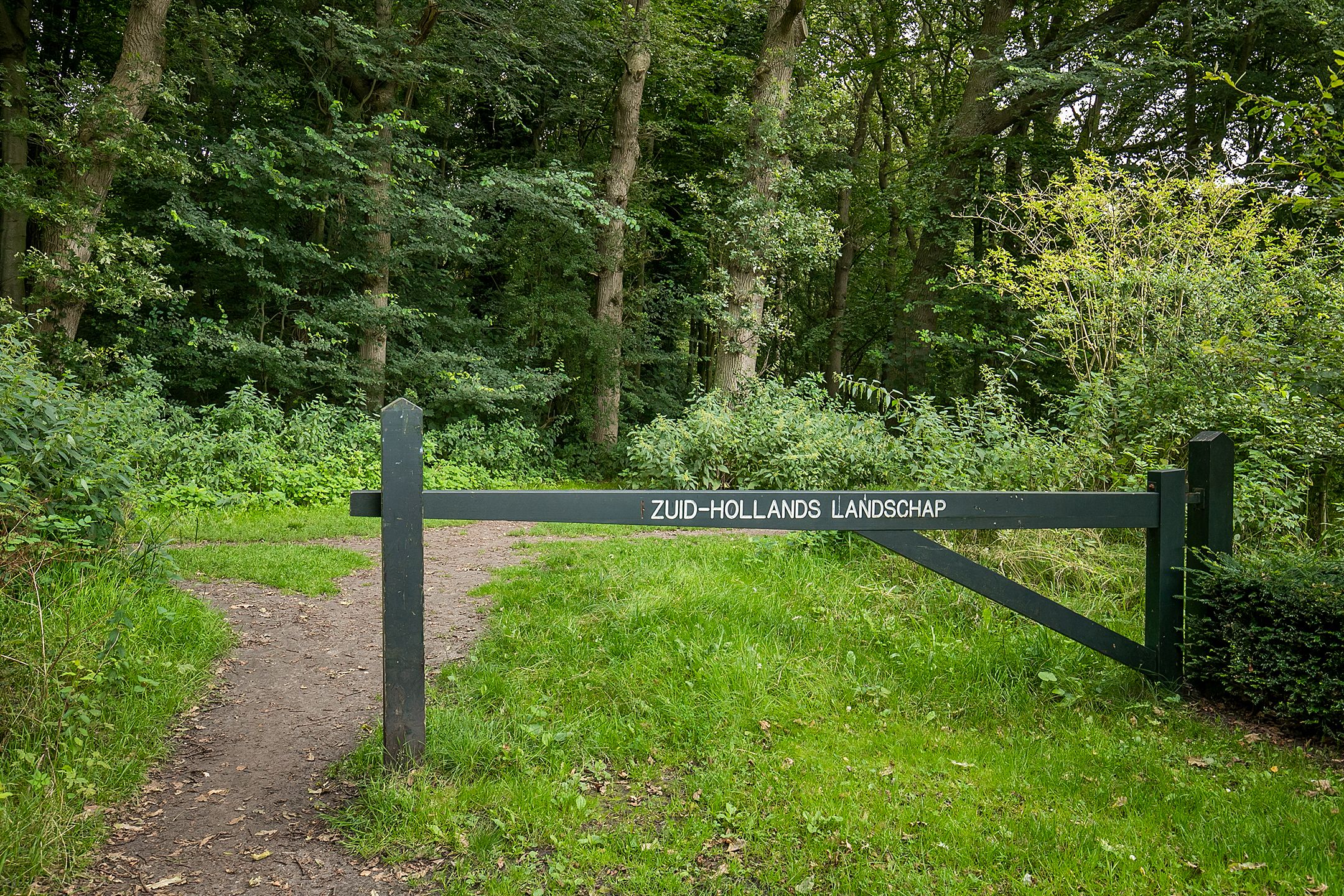 Foto 45 van Molendijk 21