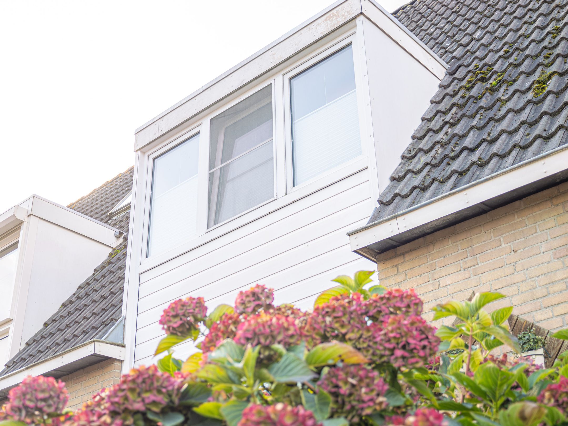 Foto 9 van de Raetsingel 23