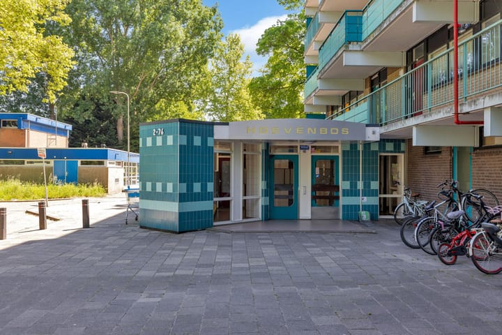 Foto 2 van Hoevenbos 56