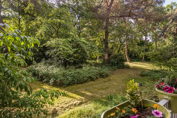 Foto 4 van van Heutszlaan 114