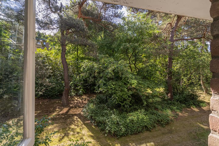 Foto 20 van van Heutszlaan 114