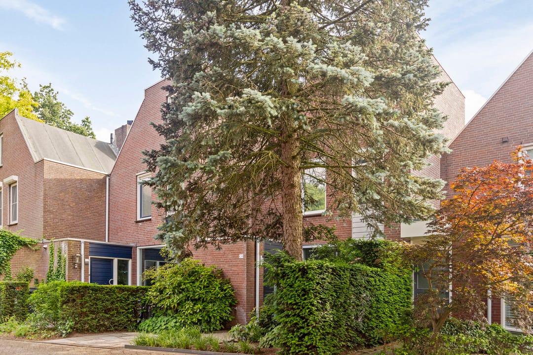 Foto 32 van Biezenloop 24