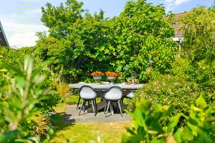 Foto 17 van Boterzwin 2208