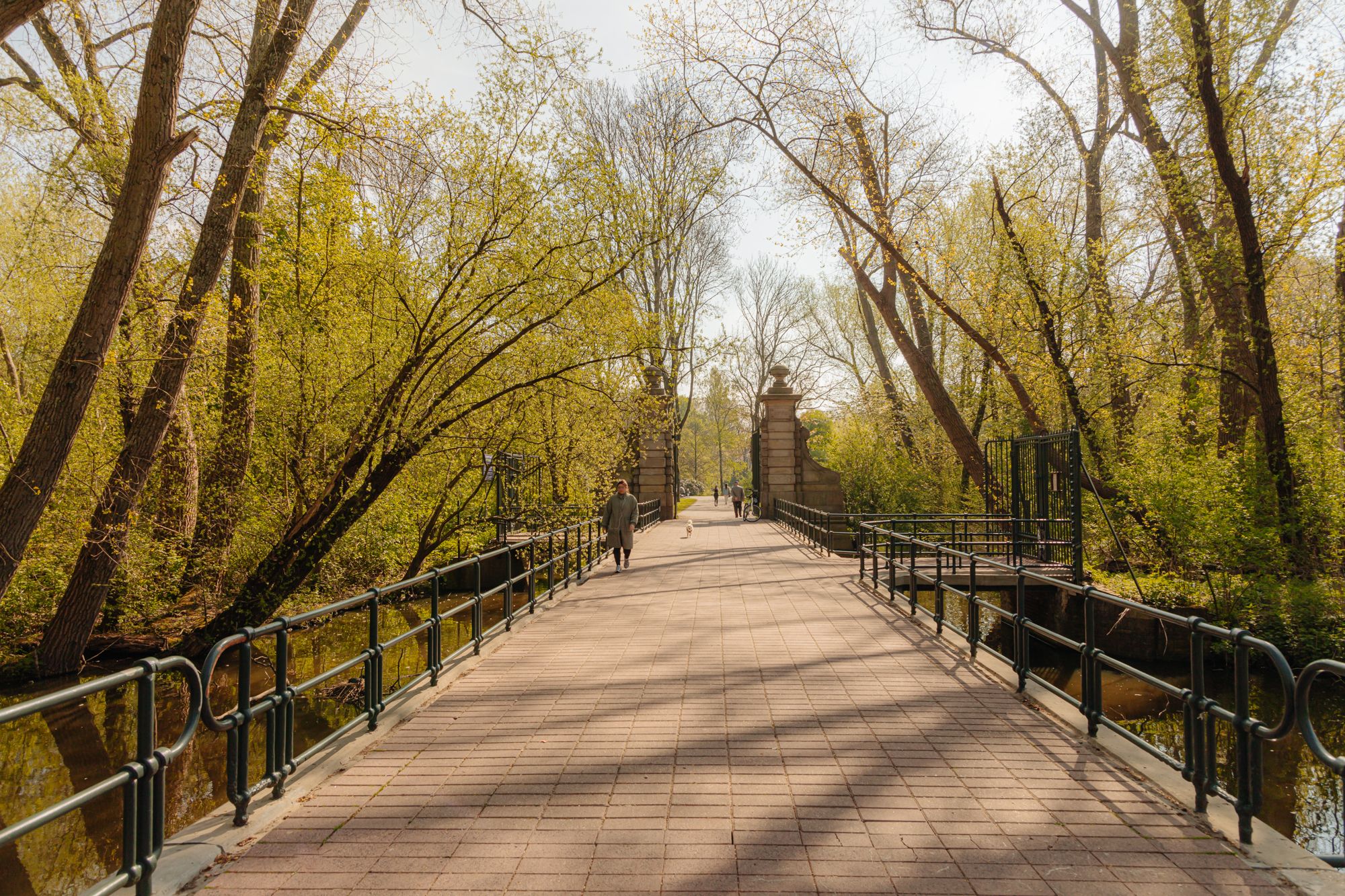 Foto 18 van Javastraat 184-3