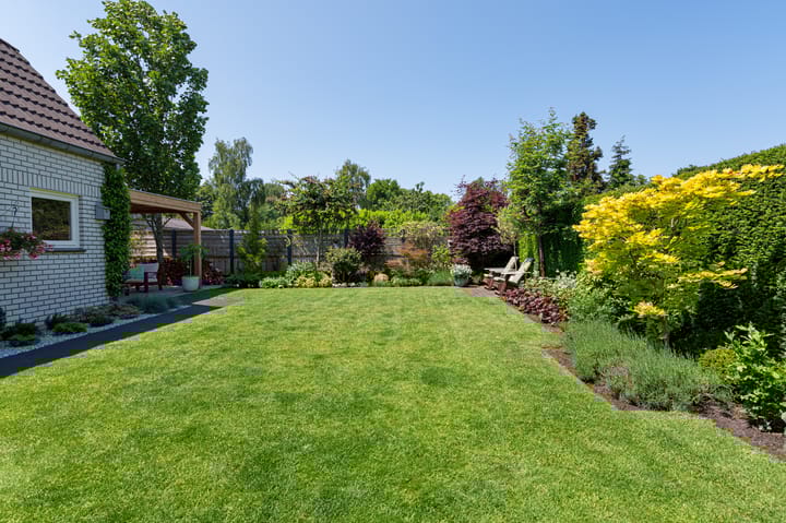 Foto 41 van Burgemeester Schaepmanstraat 5