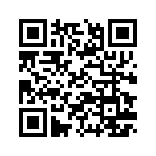 Foto 21 van Bergstraat 113