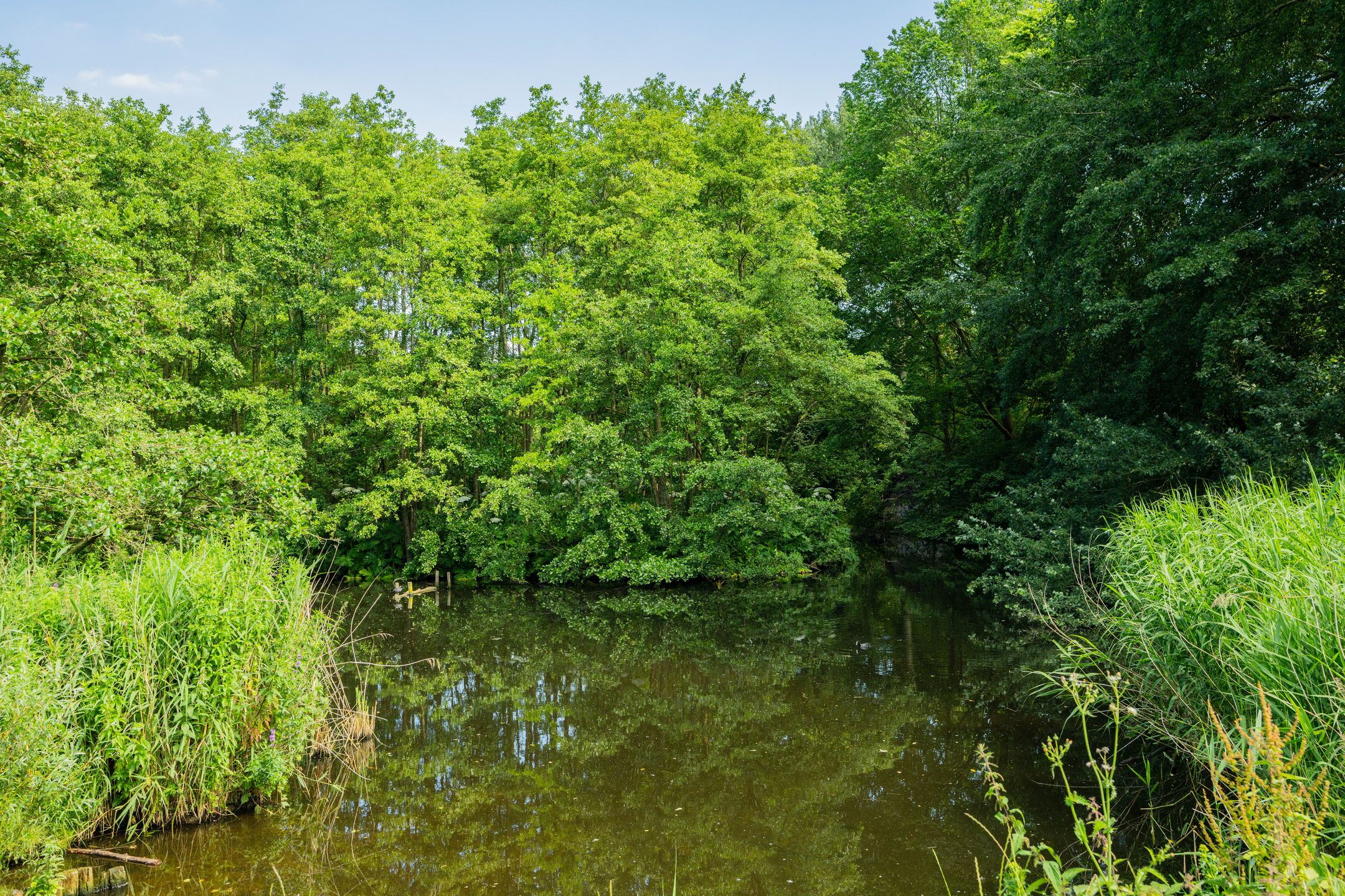 Foto 24 van Hoofdweg 140-A