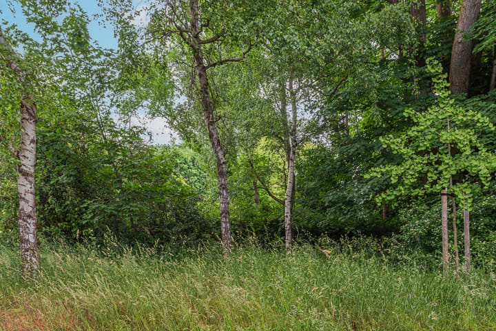 Foto 7 van Sjanghaidreef 5