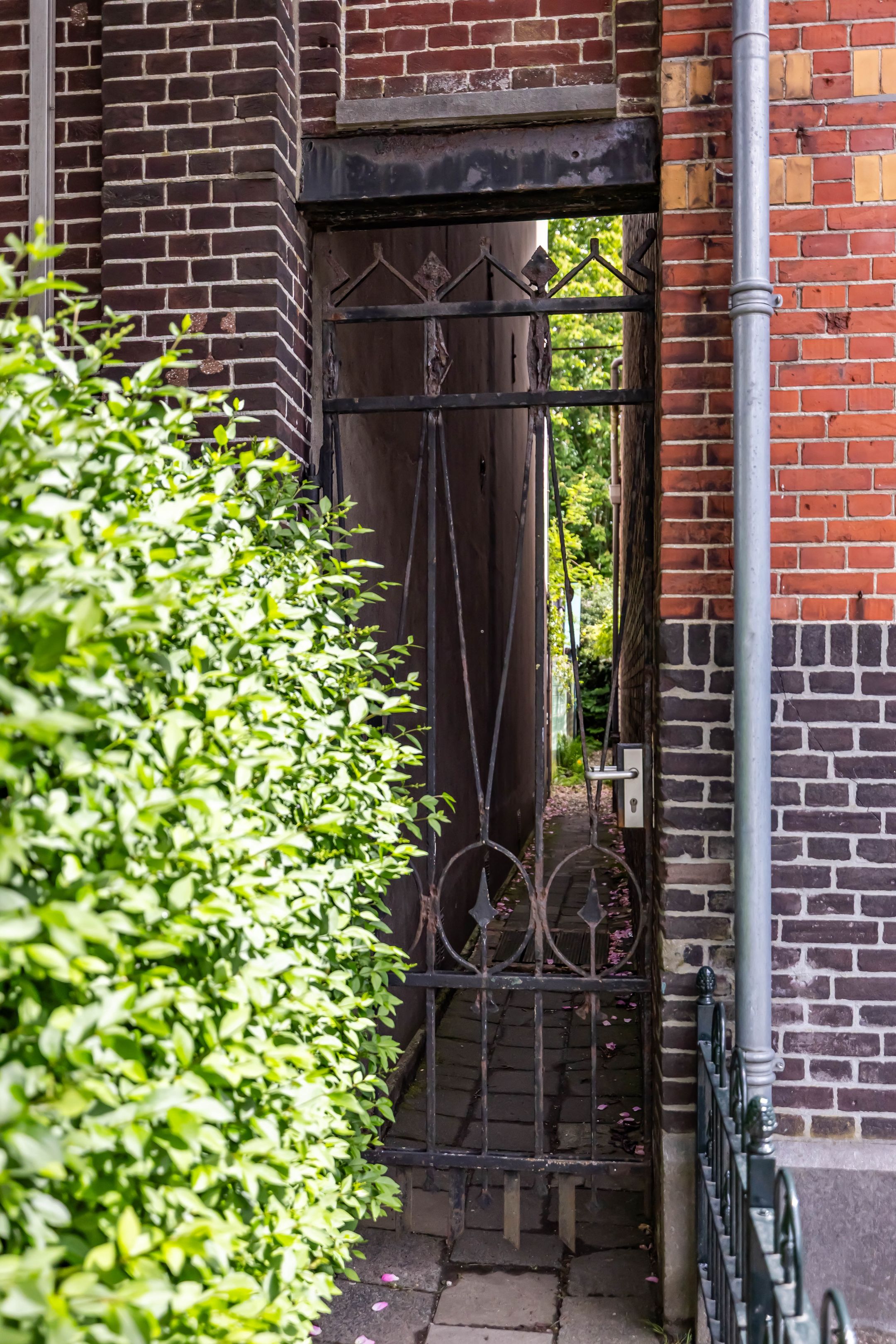 Foto 72 van Herman Colleniusstraat 5-A