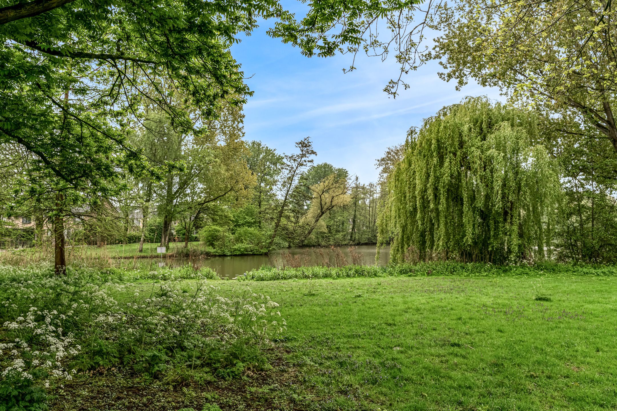 Foto 36 van Zonnebloemstraat 35