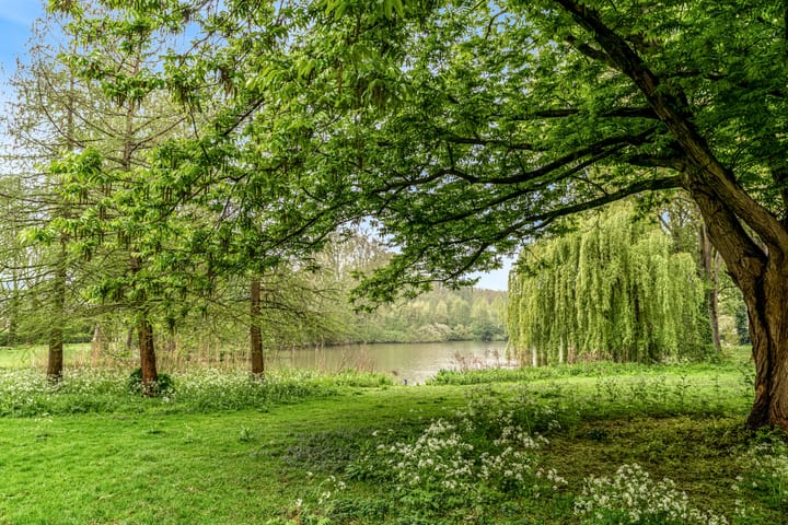 Foto 37 van Zonnebloemstraat 35