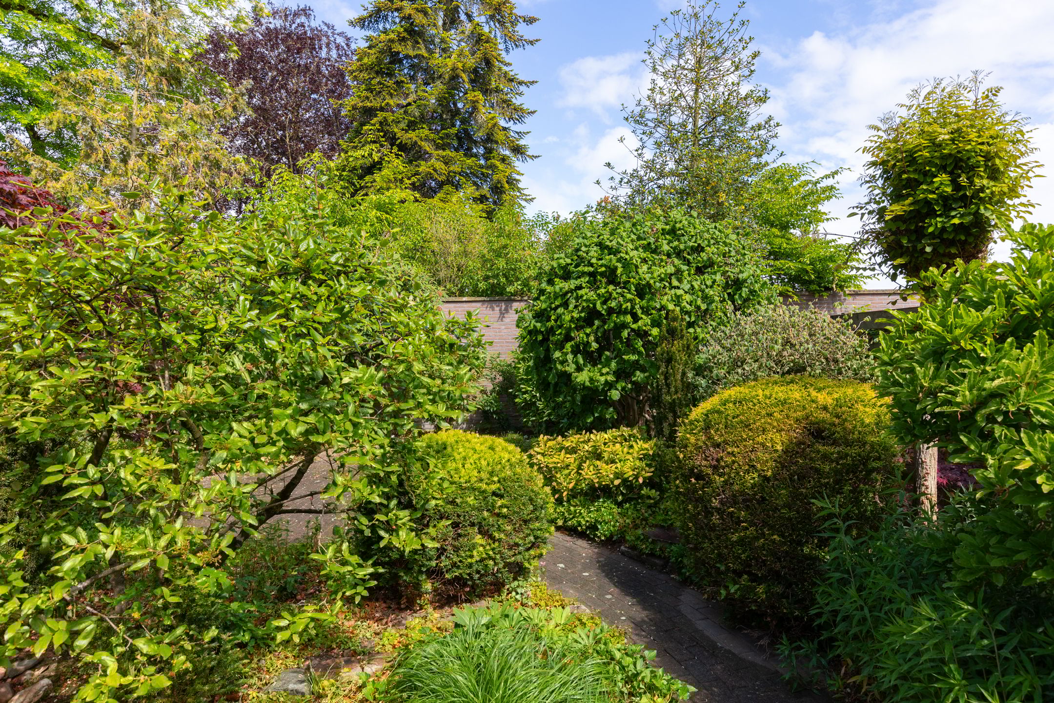 Foto 39 van Looweg 13