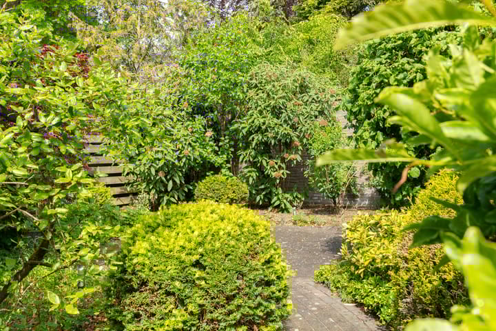 Foto 41 van Looweg 13