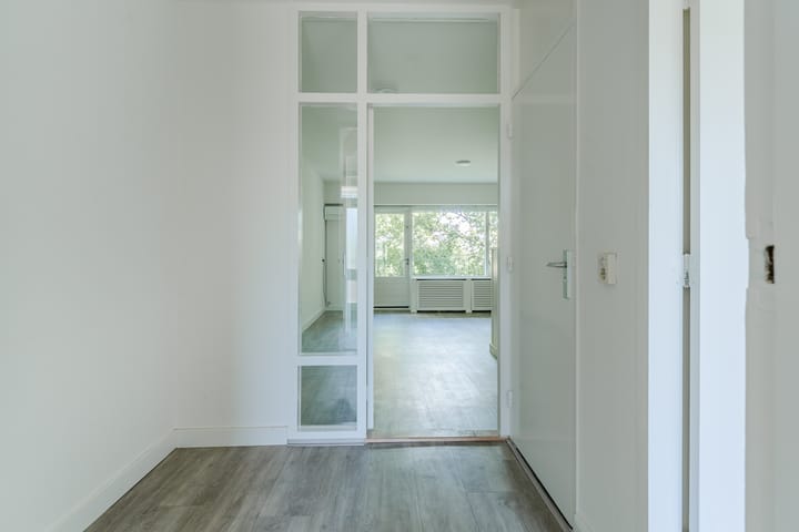 Foto 7 van Aert van Neslaan 440