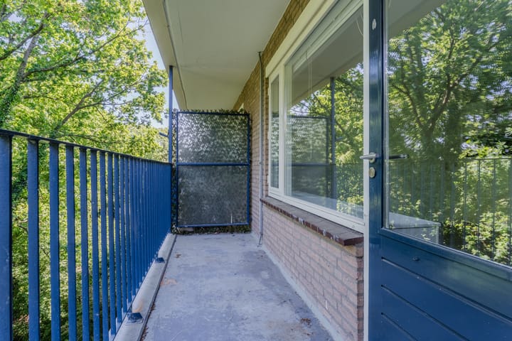 Foto 22 van Aert van Neslaan 440