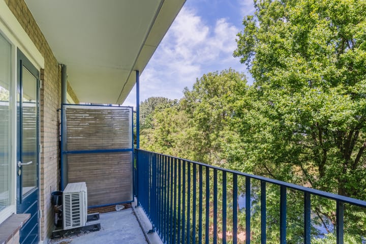 Foto 23 van Aert van Neslaan 440