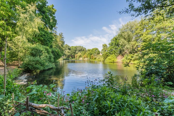 Foto 26 van Aert van Neslaan 440