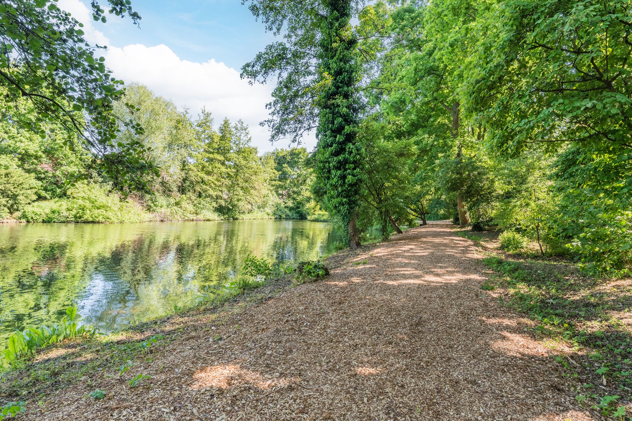 Foto 27 van Aert van Neslaan 440