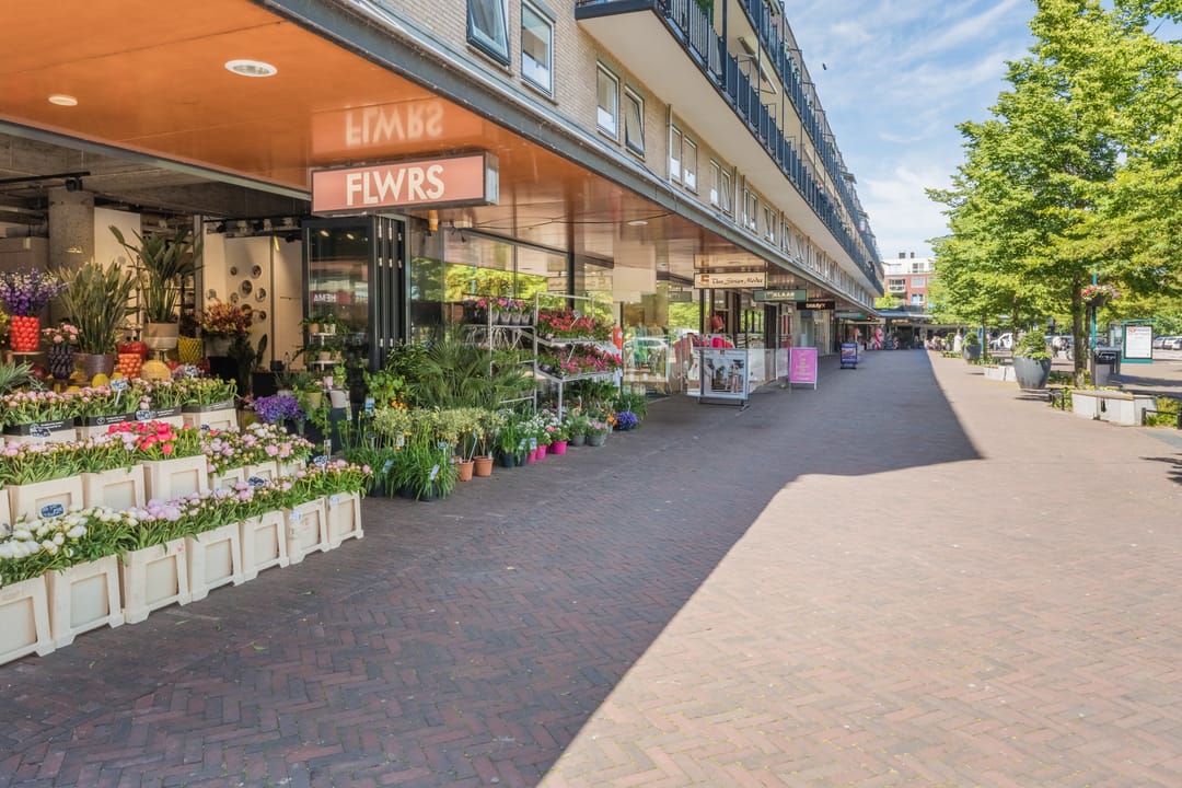 Foto 31 van Aert van Neslaan 440