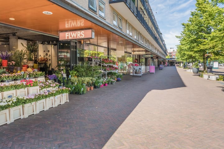 Foto 31 van Aert van Neslaan 440