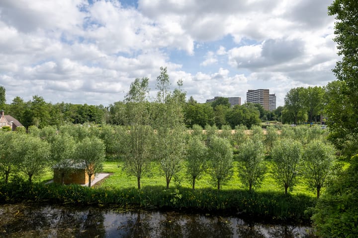 Foto 56 van 's-Gravenweg 250