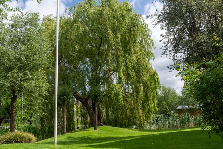 Foto 69 van 's-Gravenweg 250