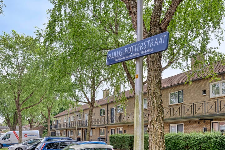 Foto 24 van Paulus Potterstraat 75
