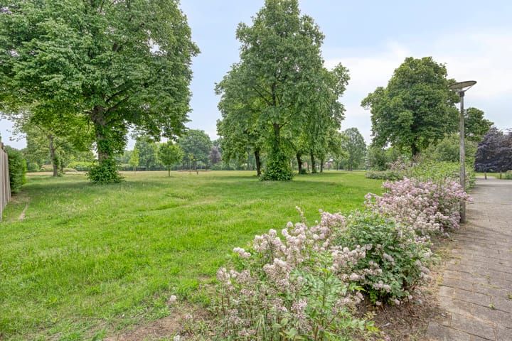 Foto 27 van Paulus Potterstraat 75