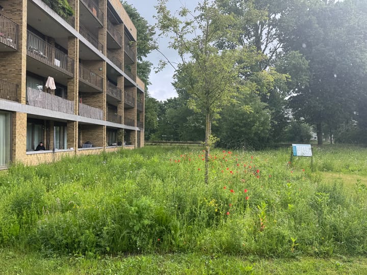 Foto 5 van Weberstraat 36