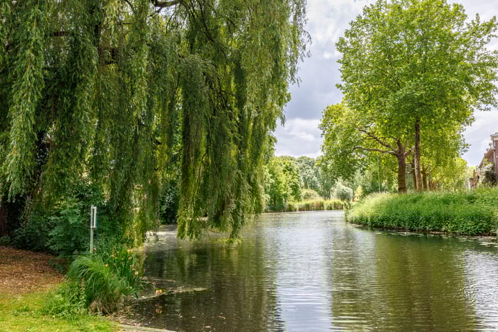 Foto 51 van Jan Steenstraat 14