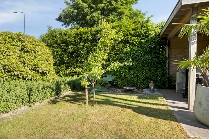 Foto 31 van Apollolaan 20