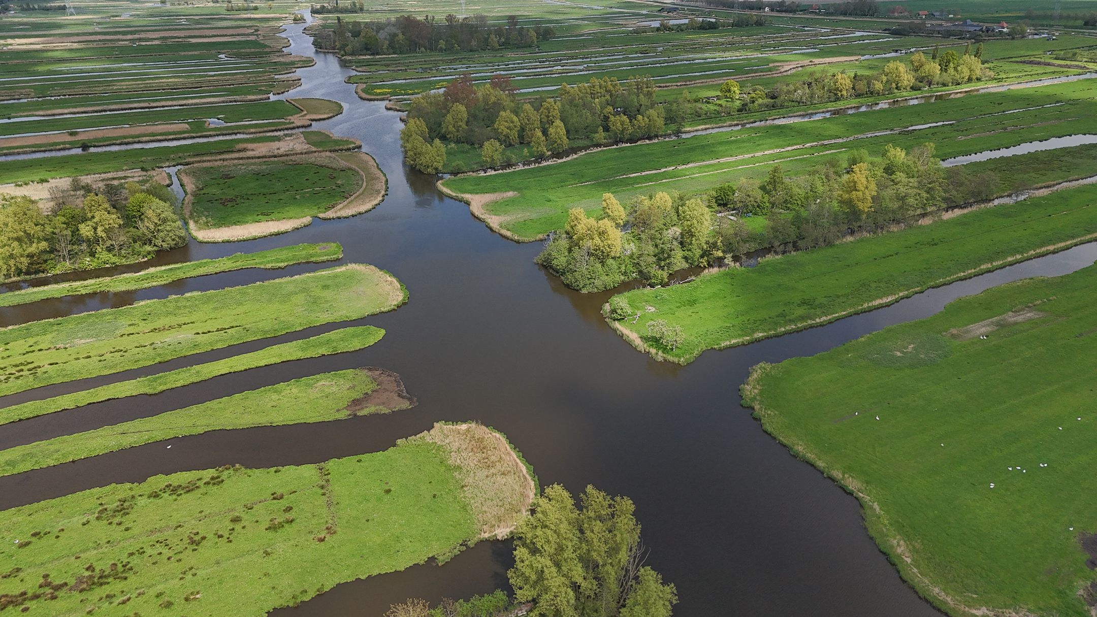 Foto 75 van Kralingergracht 1