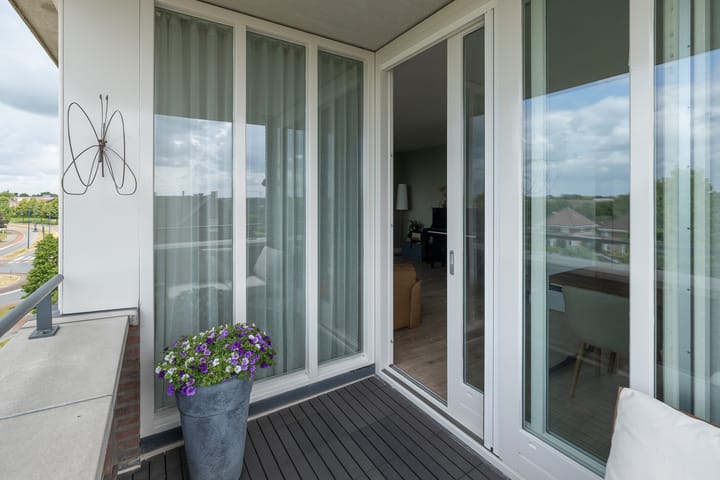 Foto 16 van Sterappel 40