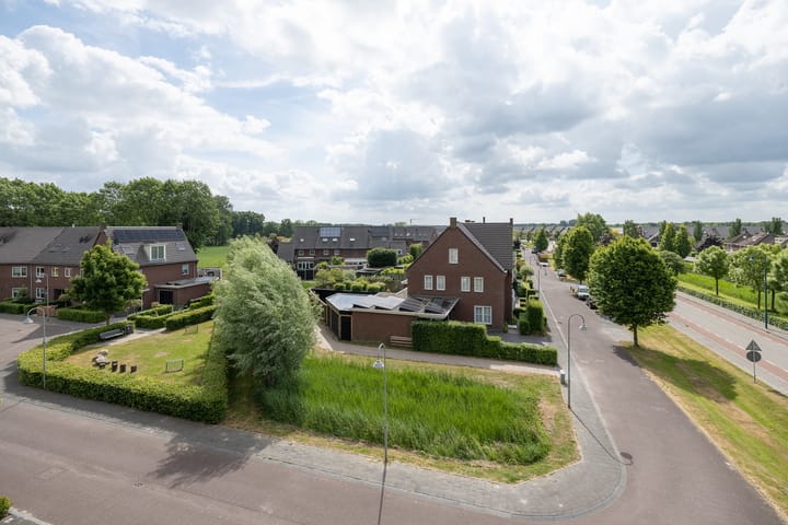 Foto 17 van Sterappel 40