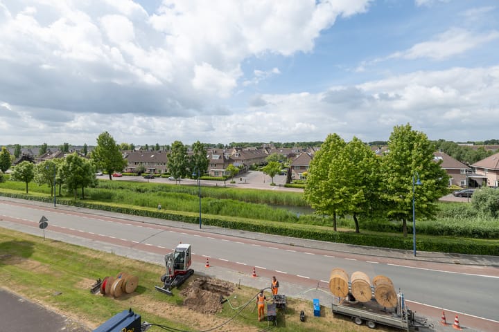 Foto 18 van Sterappel 40