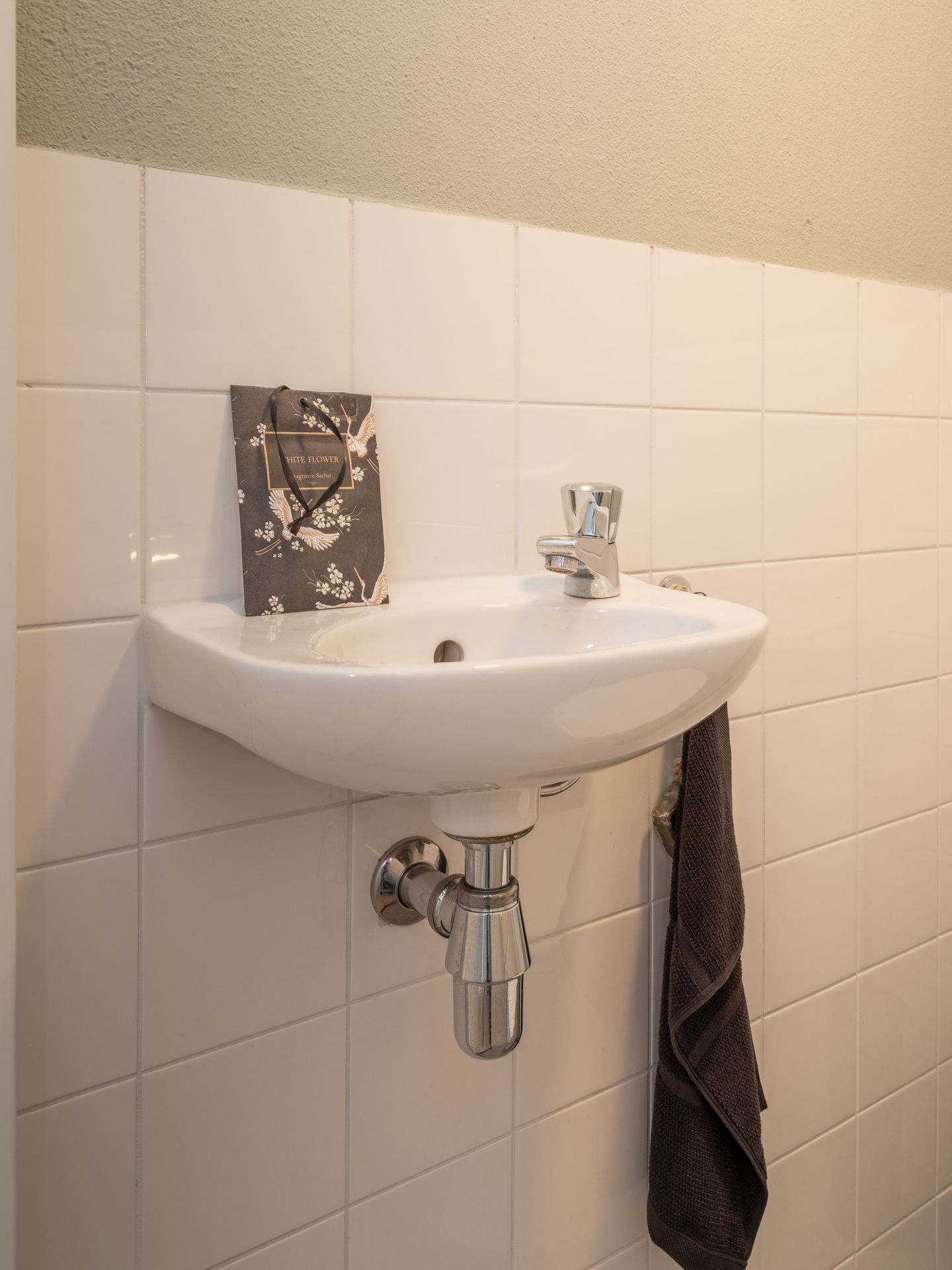 Foto 34 van Sterappel 40