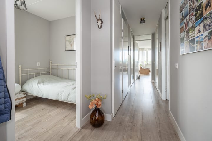 Foto 35 van Sterappel 40