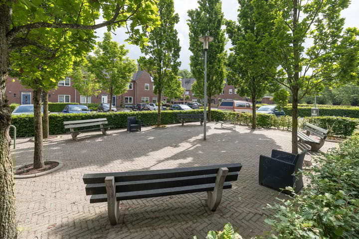 Foto 44 van Sterappel 40