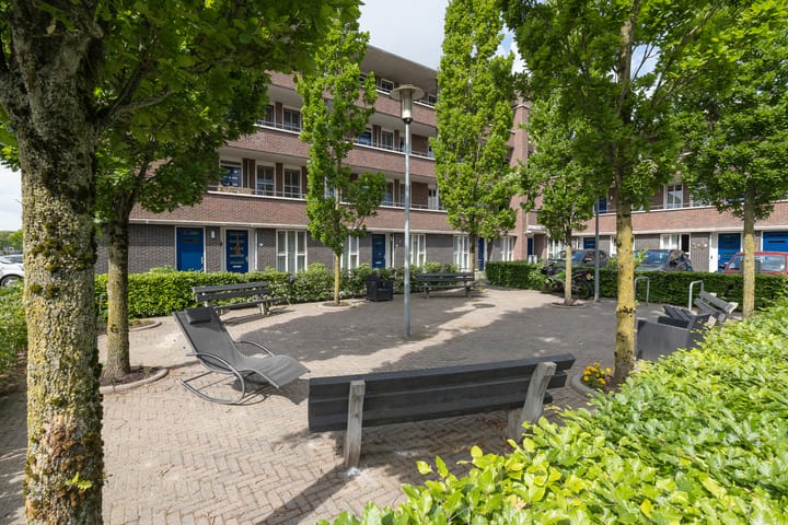 Foto 45 van Sterappel 40