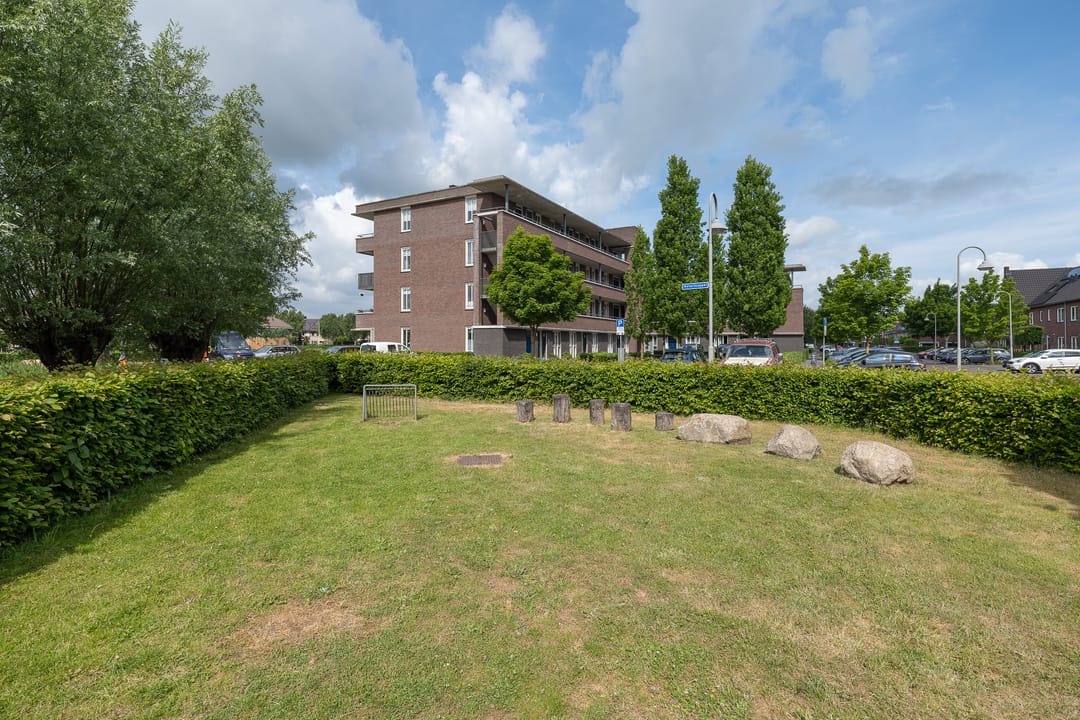 Foto 47 van Sterappel 40